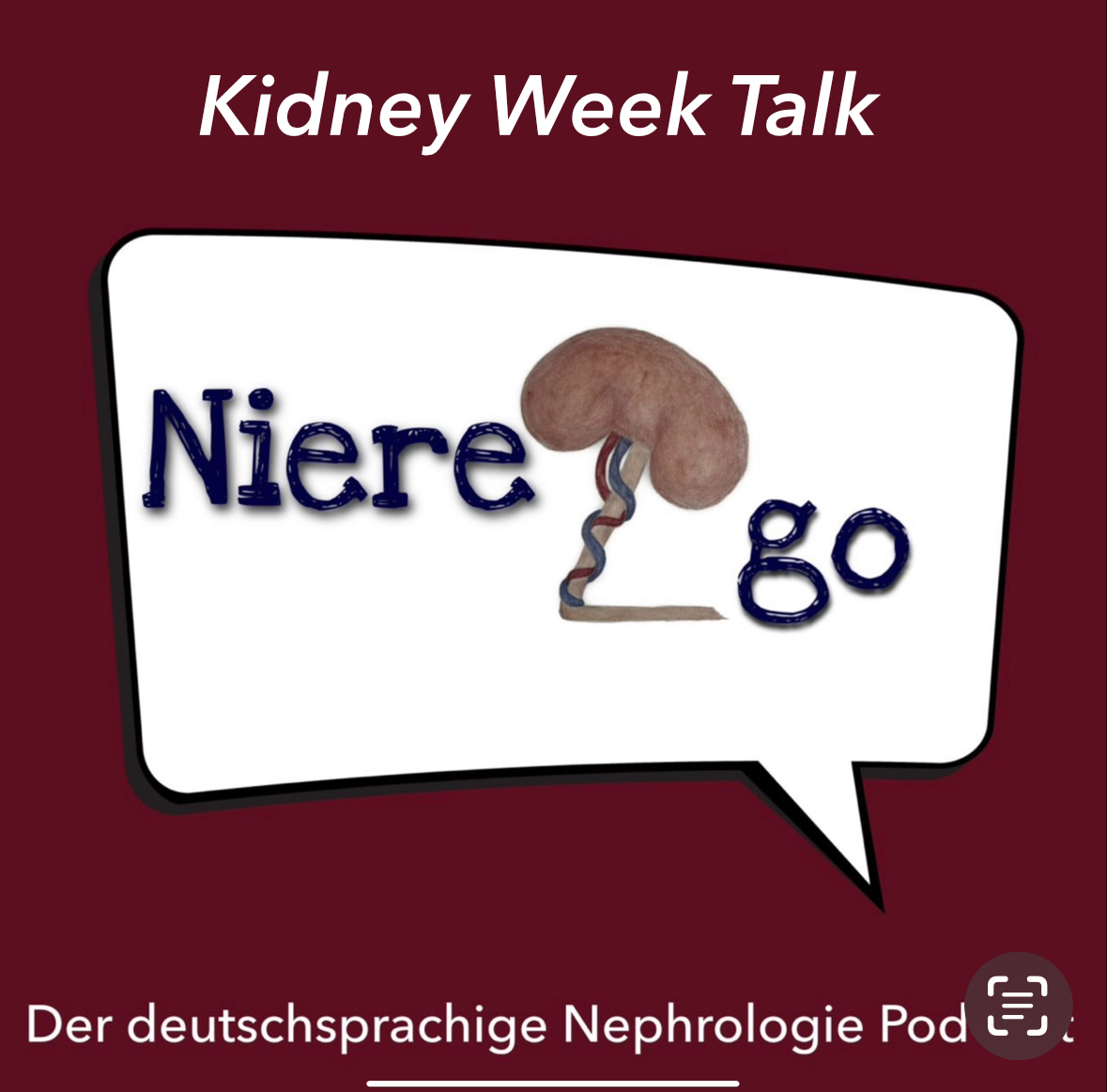 Mehr über den Artikel erfahren Kidney Week Talk 2024 – Folge 3